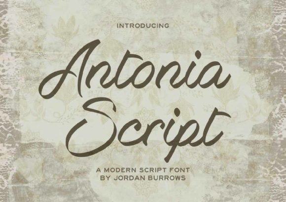 Antonia Script: The Elegant Typeface for a Delicate Touch