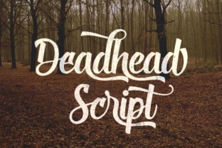 Deadhead Script: Infusing Playful Energy into Your Projects