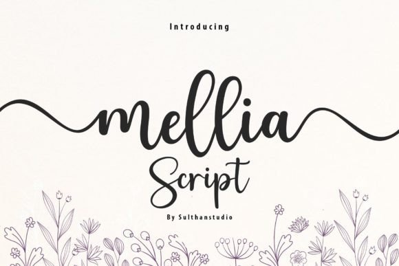 Mellia Script: Crafting Elegant, Modern Designs