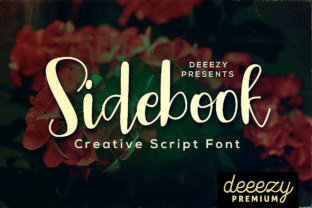 Sidebook Script: A Cool, Funny Style Script Font with Multi-Language Support