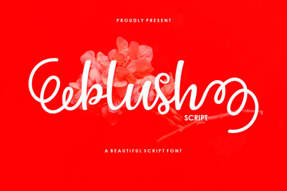 Why Blush Script is Your New Favorite Creative Font